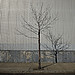 Shadow Series