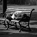 Nice spot for a nap