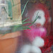 monkey in the window at Mondragon