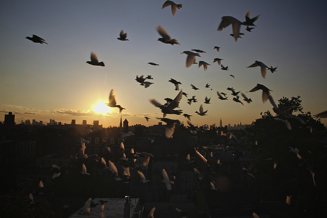 Wings (with me)