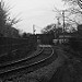 IMG_9631